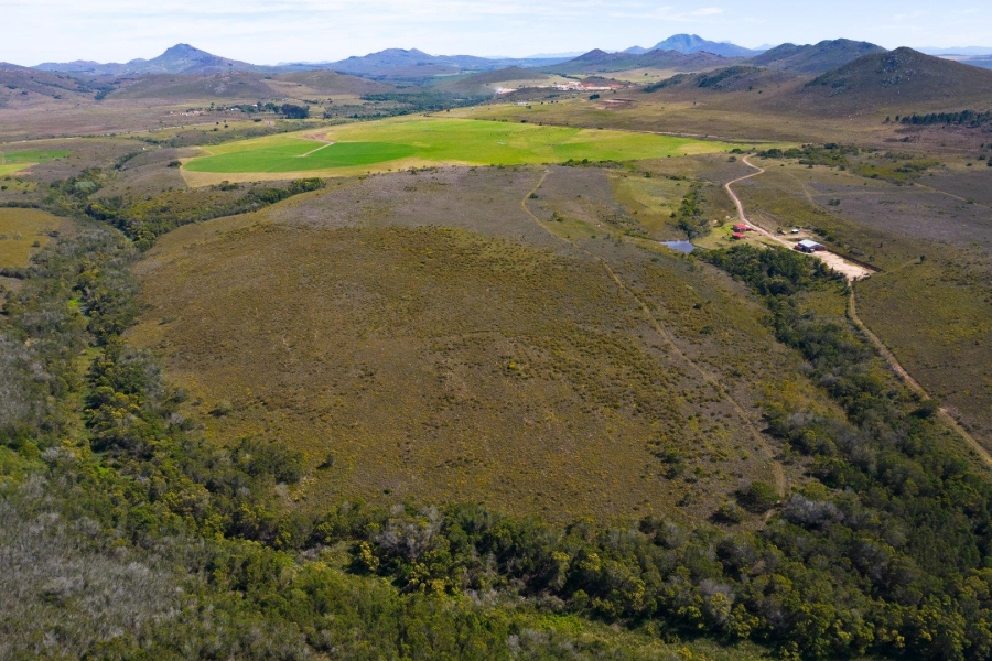 0 Bedroom Property for Sale in Humansdorp Rural Eastern Cape